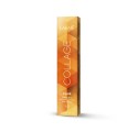 Lakme Collage Clair Color 12/17 60 ml